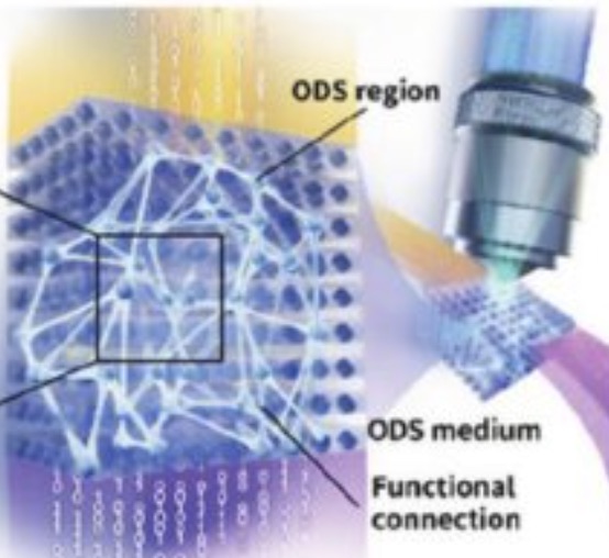 Brain Inspired Future Optical Data Storage