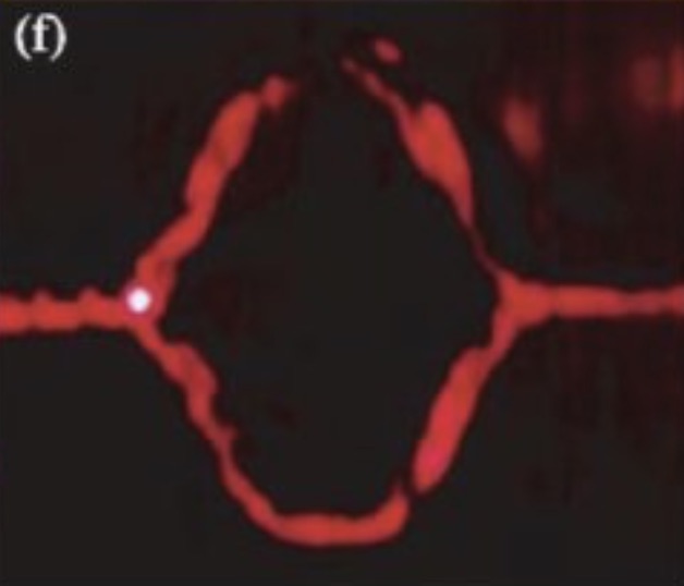 Nanophotonics: Applications for Surface Plasmon Polaritons