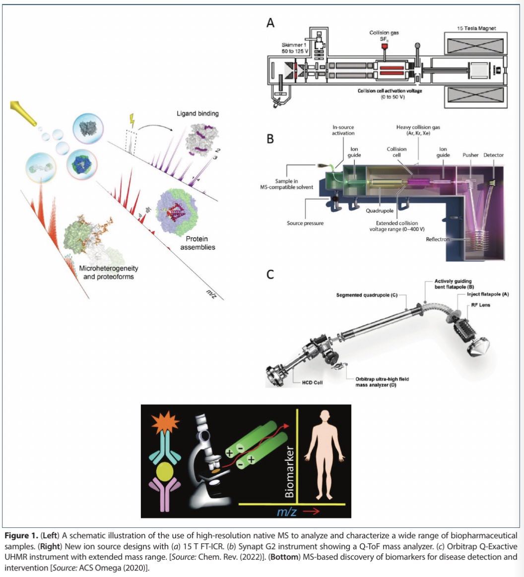 Exciting New Avenues of Clinical Diagnostic Enabled by Mass Spectrometry