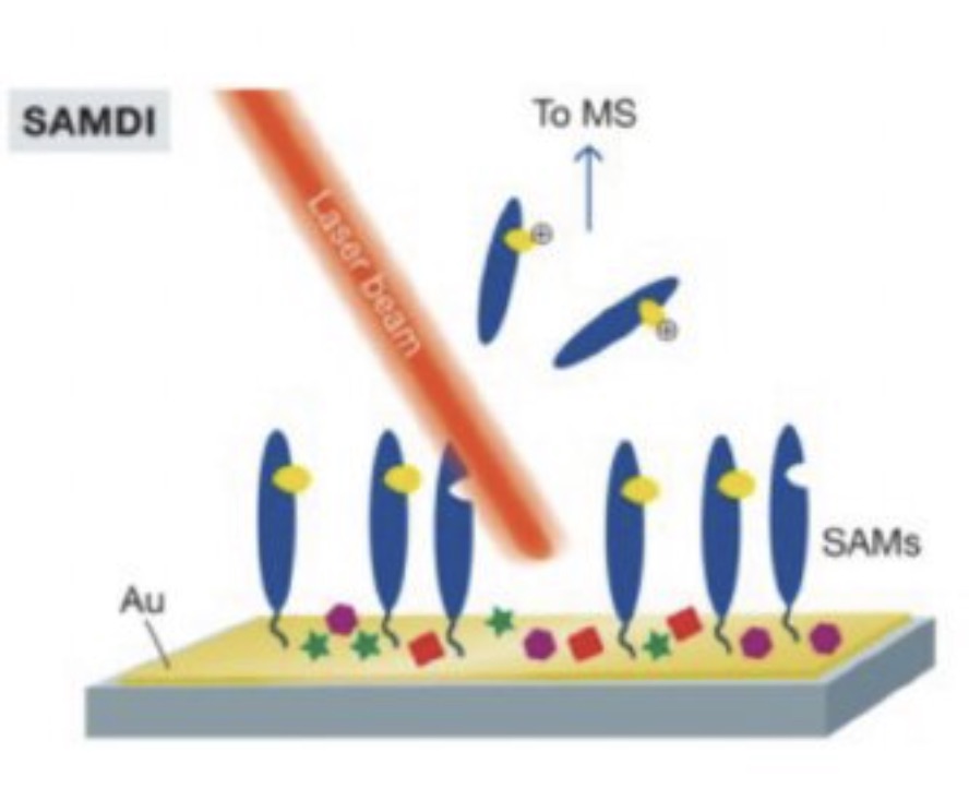 Developments in Spectrometry Revolutionizing High-Throughput Screening Drug Discovery