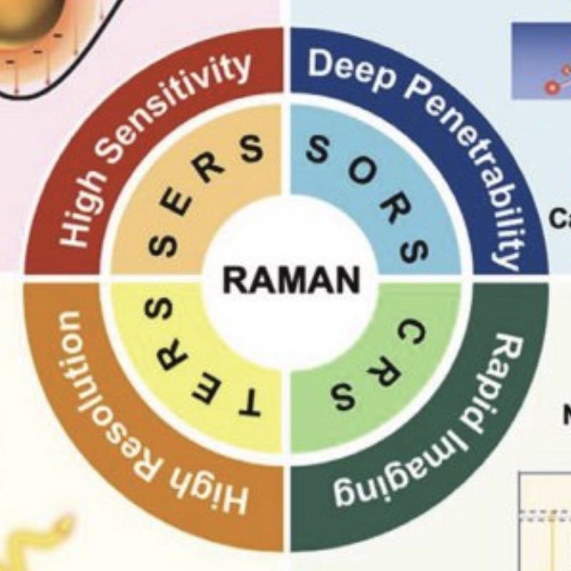 Tip-Enhanced Raman Spectroscopy in Ultrahigh Vacuum Environments for Advanced Characterization of Biomolecules